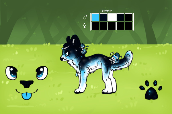 Plumerian #764 [ Shasta || Jayus ]