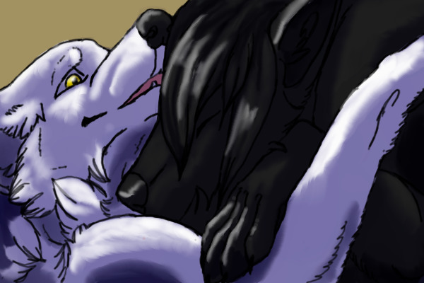 December and Midnight