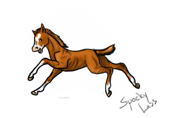 Filly