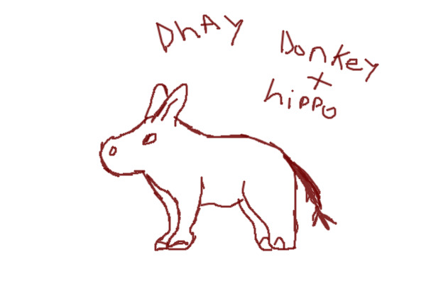 DHAY Donkey and Hippo