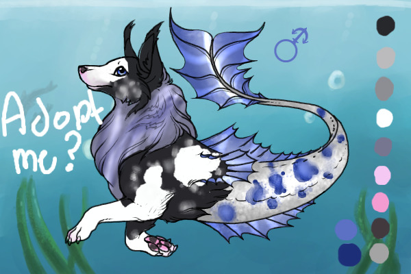 Aquarius Wolf #43 - Adopt me?