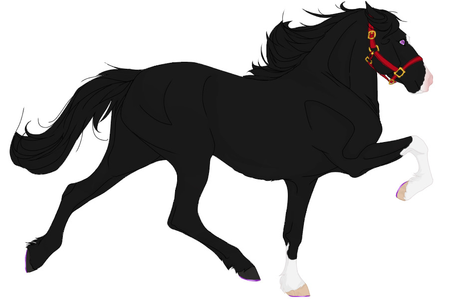 #7075 Black