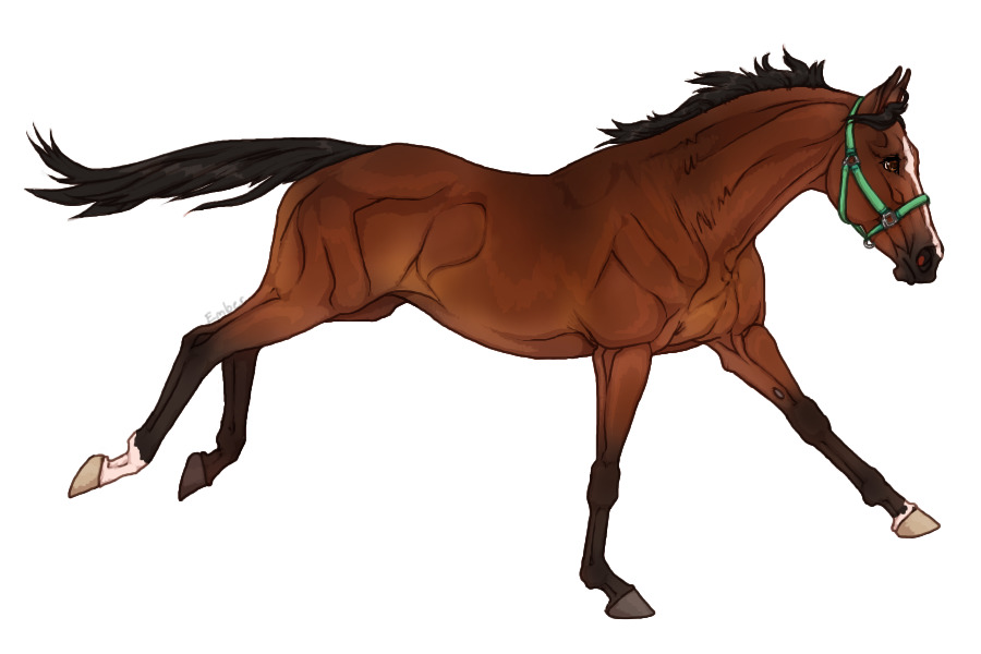 thoroughbred lines entry