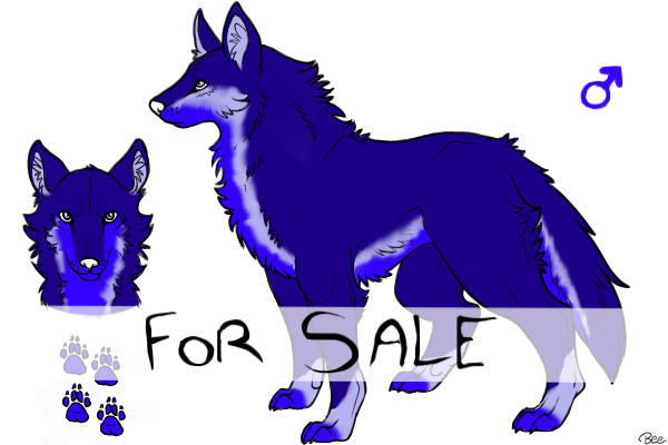 Sold Wolf