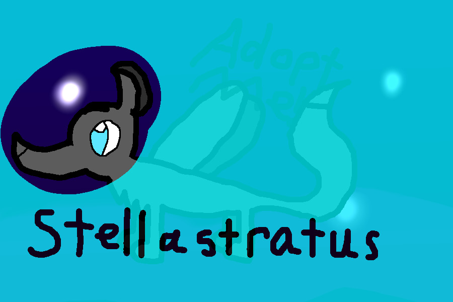 Stellastratus
