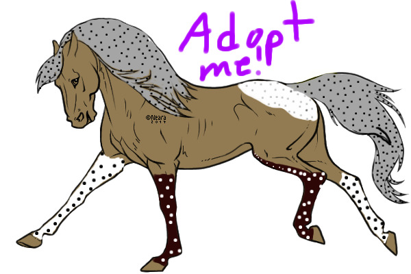 ~SA~ Adopt #7