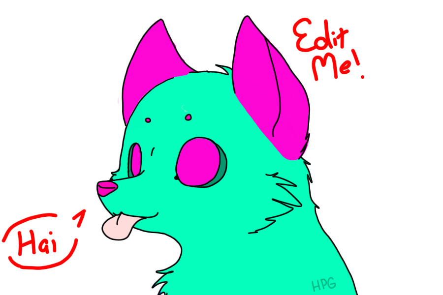Zolo