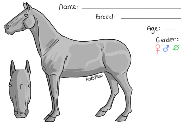 Horse reference sheet