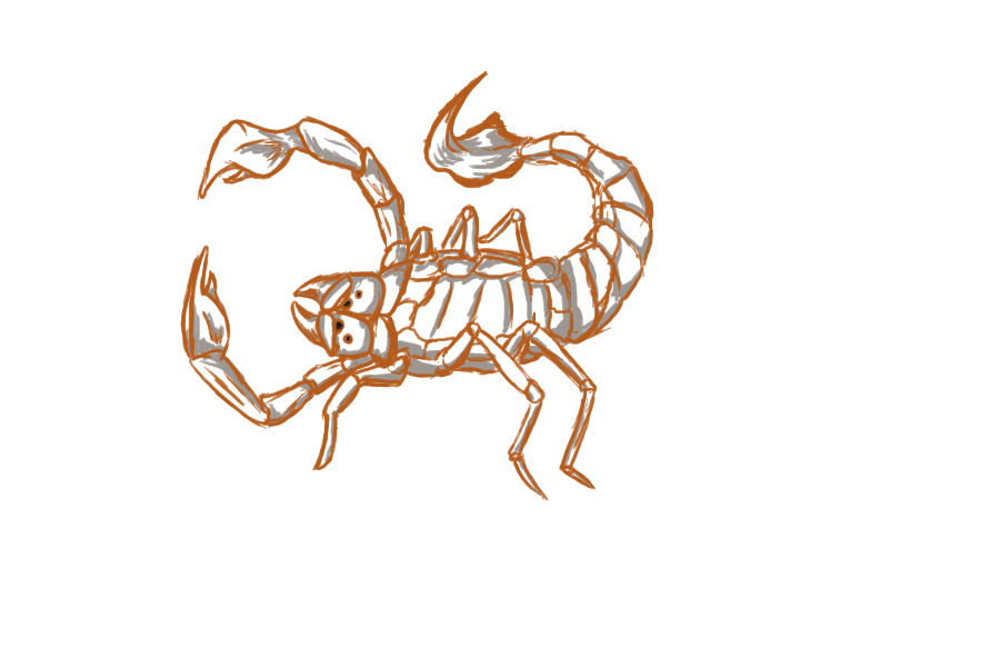 A Bell Scorpian