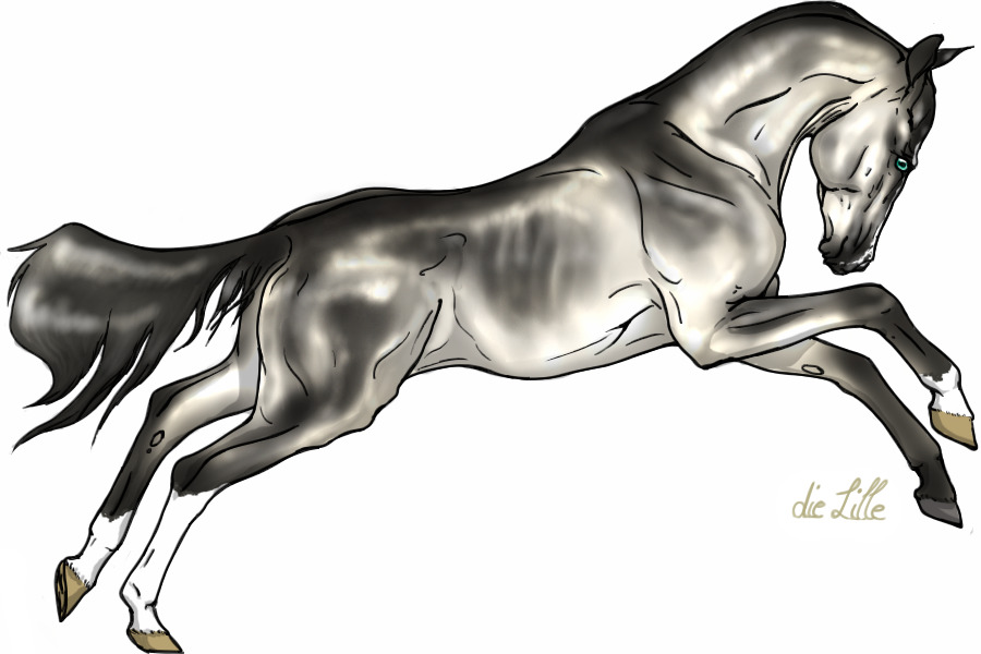 WAT: Silver Buckskin Stallion
