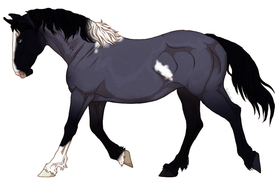 Entry 1 - Blue Roan Minimal Tobiano