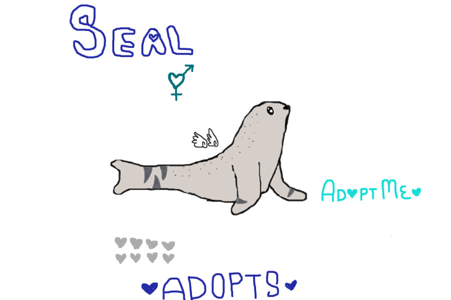 Seal Adopts_____Open Now!