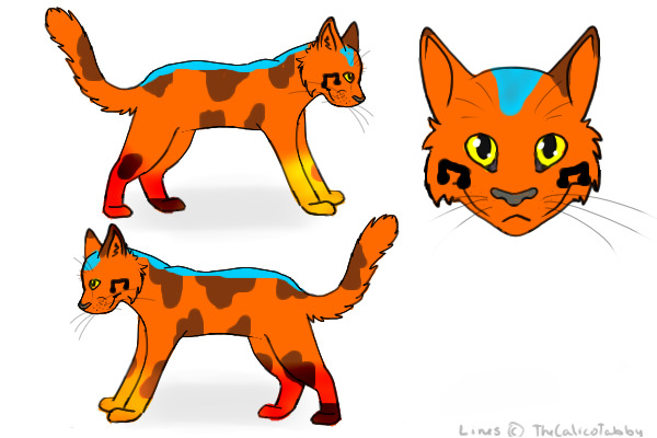 Contest Entry