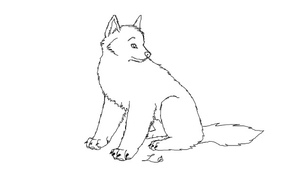 Sitting wolf