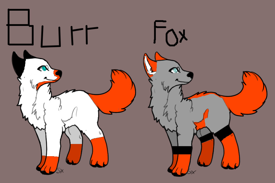 Burr and Fox