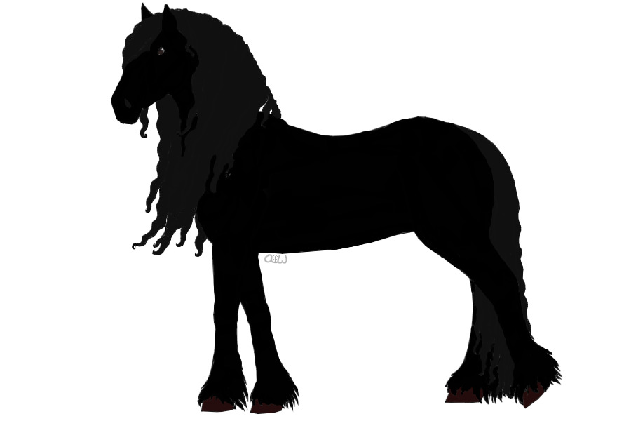 Friesian Rescue Adoption ~ #1 ~ Storm
