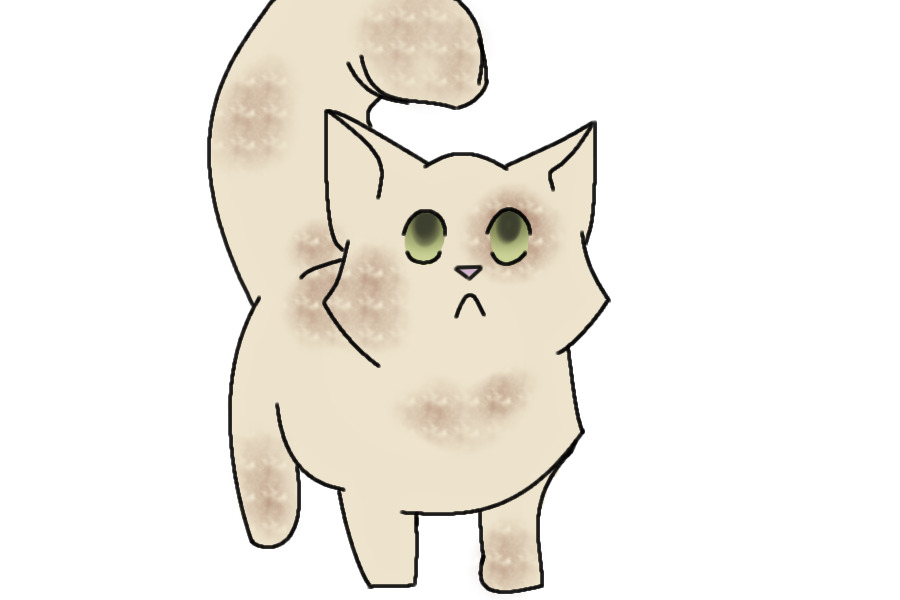 chibi kitty sketch