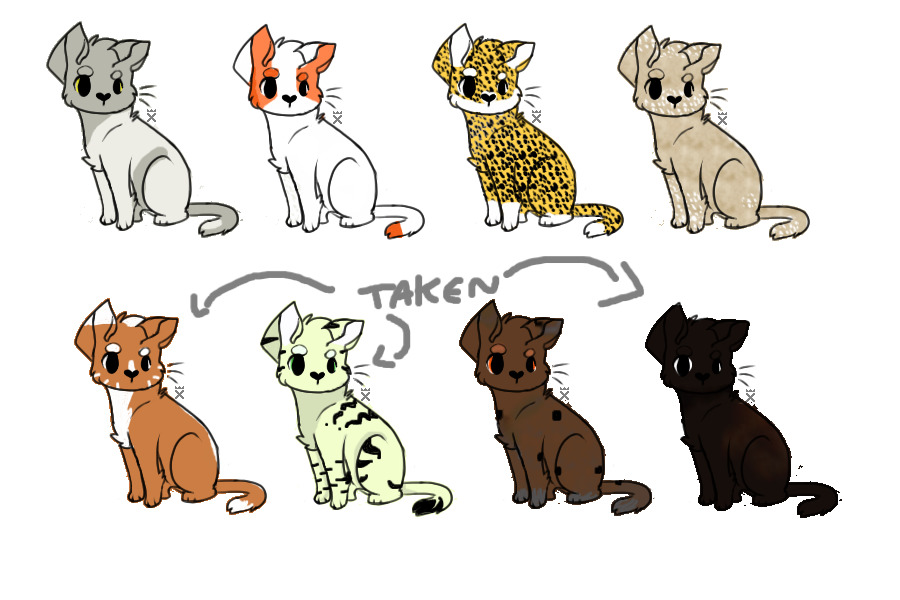 Cat Adoptables!