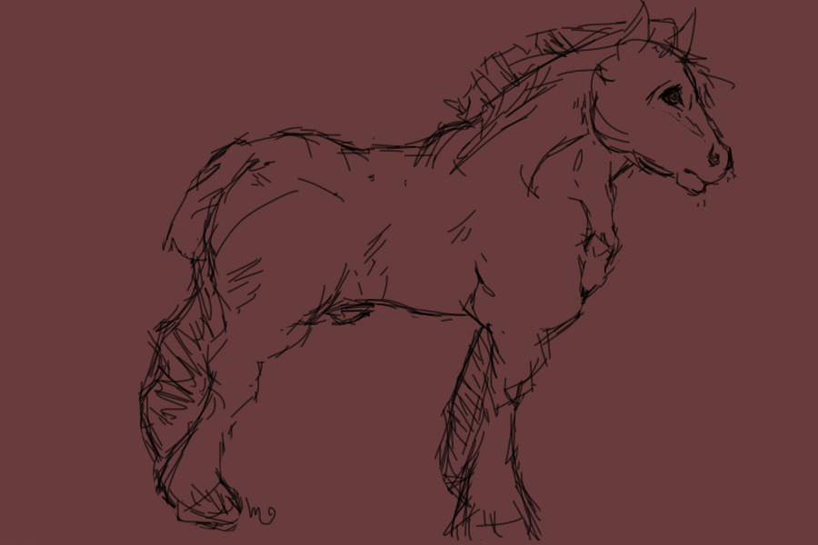 Robust Stallion Sketch