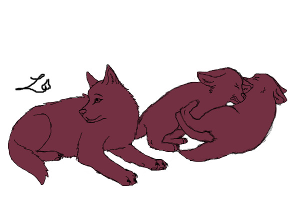 Three wolf puppies