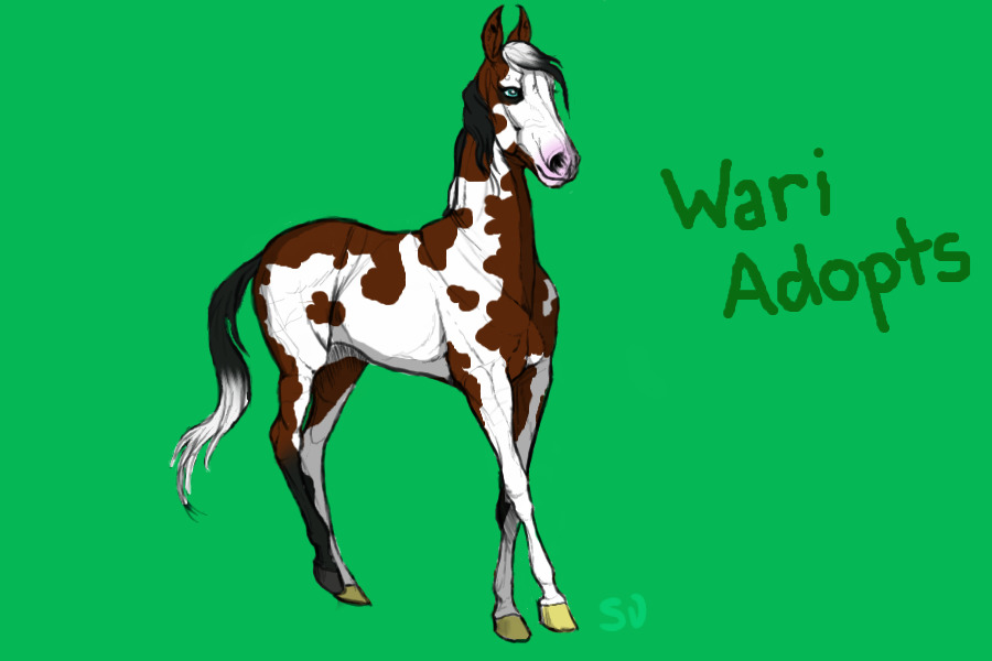 Wari Adopts
