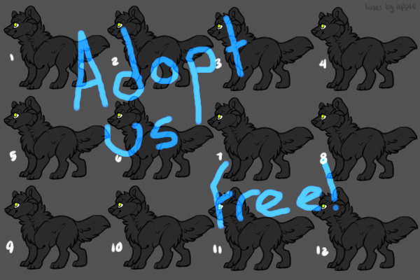 Free adoptable wolves