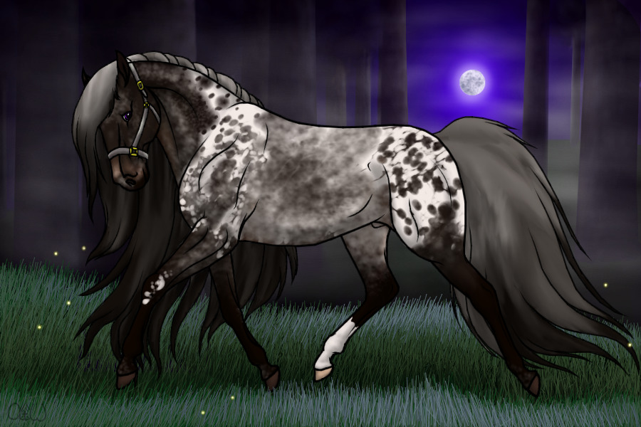 ~❊~ #71 Midnight Stallions ~❊~