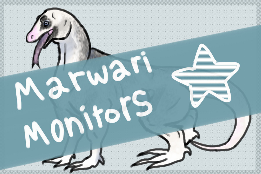 ☆Marwari Monitors☆