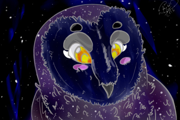 cosmic owl