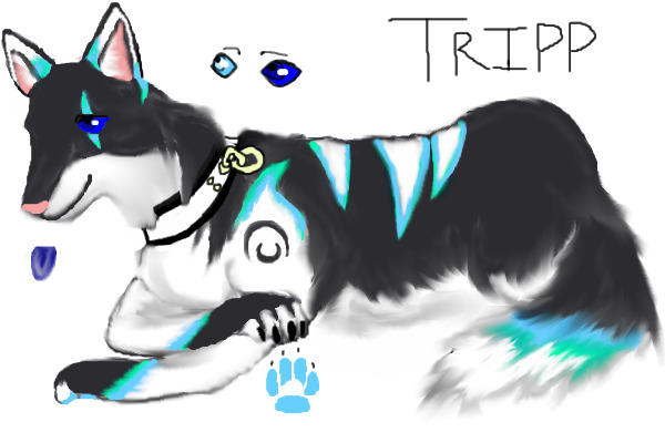 Tripp's Ref (contest)