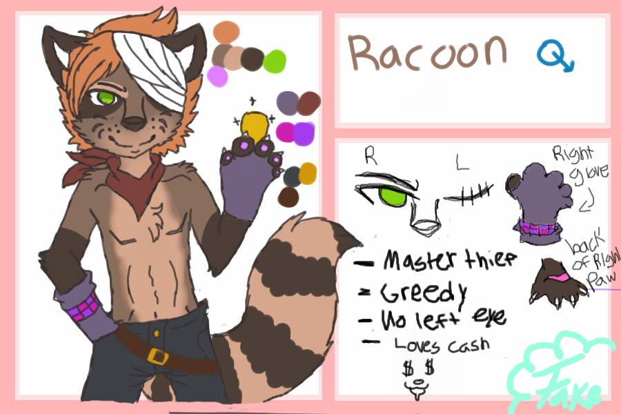 1: Racoon