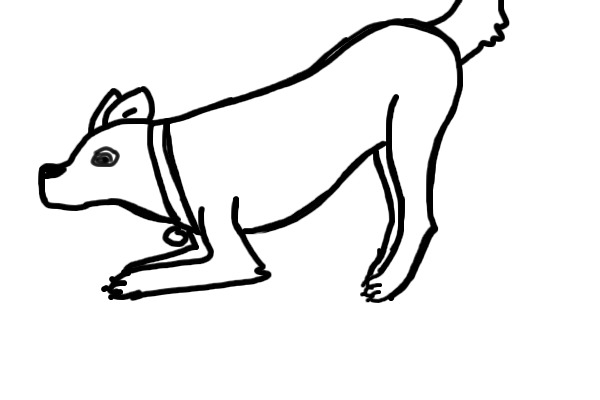 Dog Play Bowing!