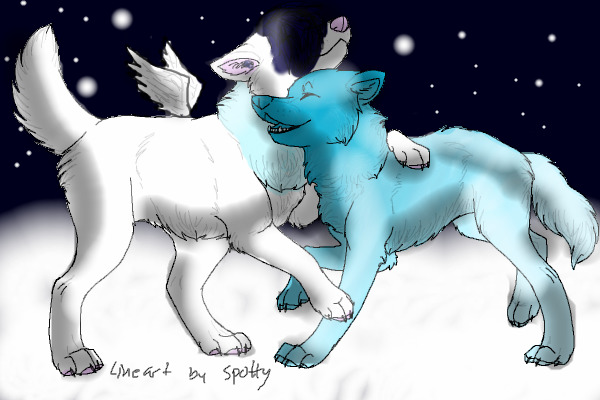 Snow pair