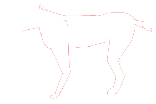 Anatomy Practice