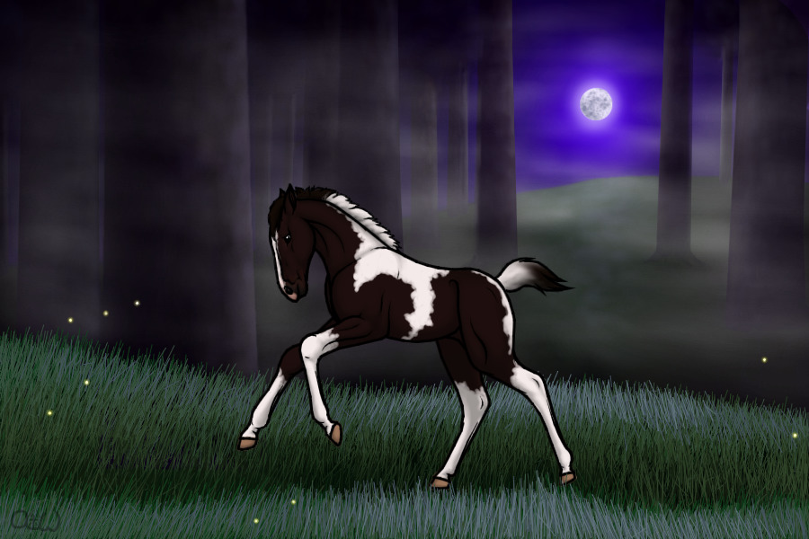 ~❊~ #7 Midnight Stallions Foal ~❊~