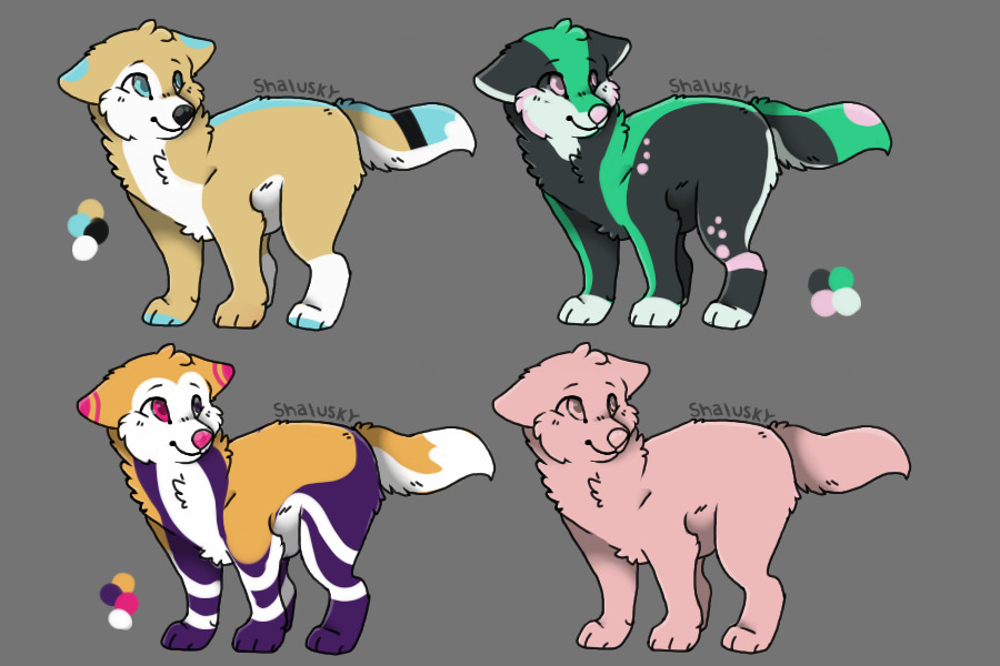 3 colors & white adopts