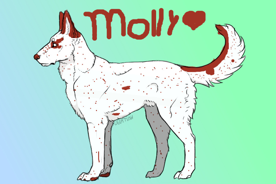 Molly!