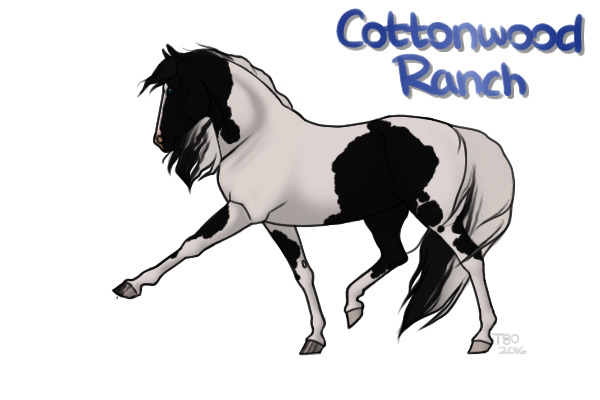 Cottonwood Wild Horse Ranch Adoptables V.5