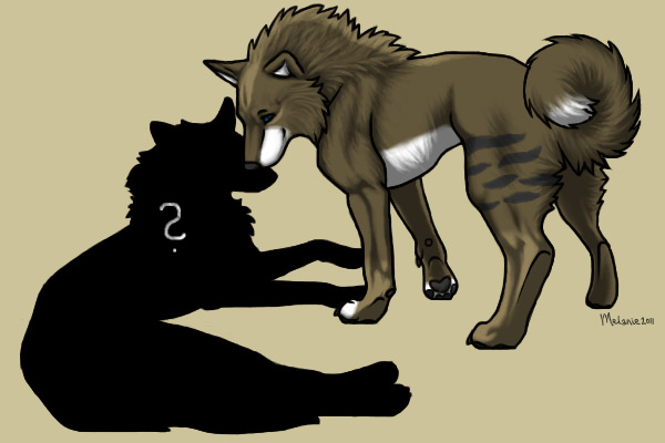Breed with Sol (or other wolves) - Free!
