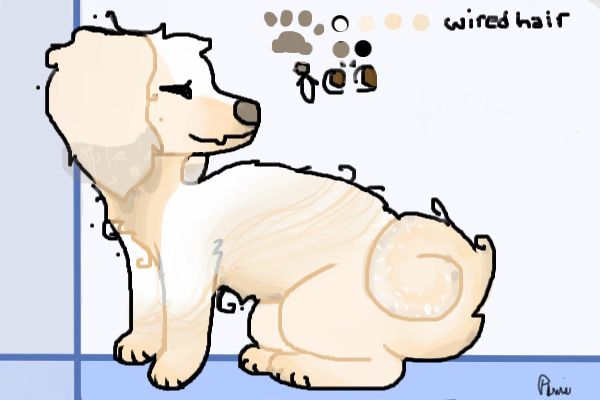 Puppernüsse #1 - Montana