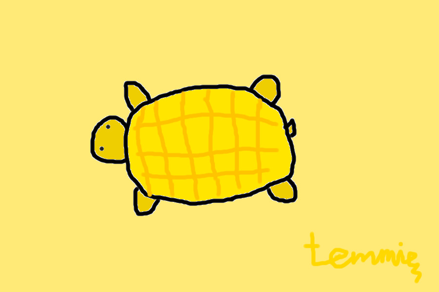 Mango turtle