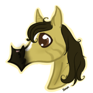 Java Headshot