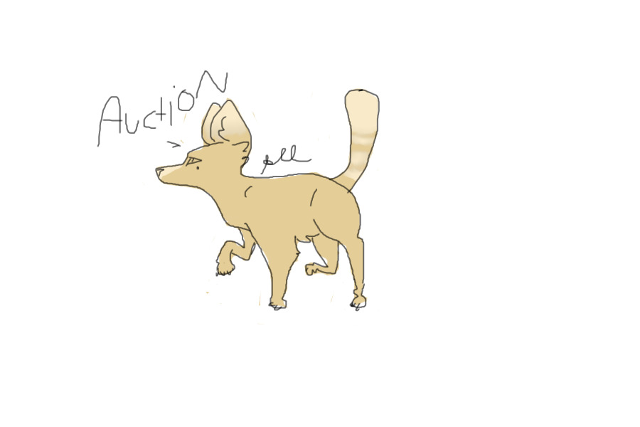 OPEN AUCTION - Kinnkit