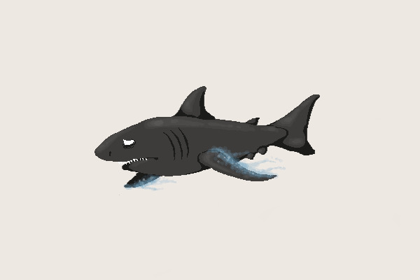 sad shark
