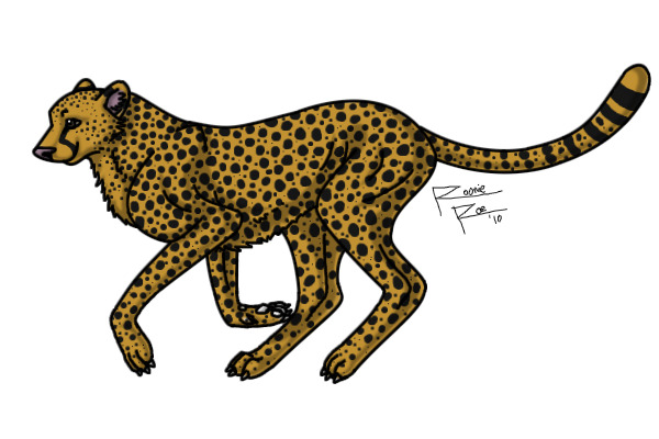 Cheetah Color-In