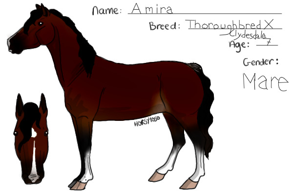one of my rl horses.