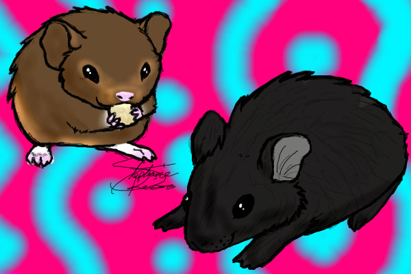 Mes Bebes <3