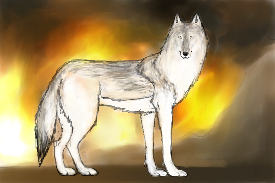 Fire Wolf