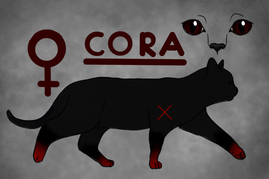 Cora (adopted)