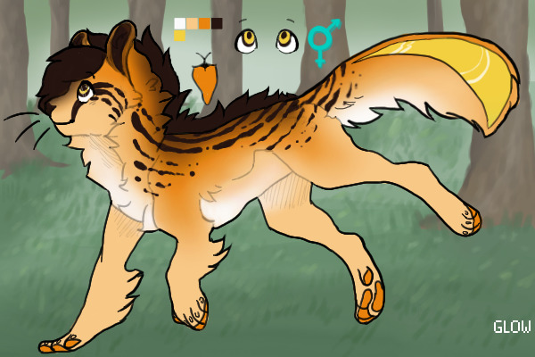 Acinonyx - The Competitive One